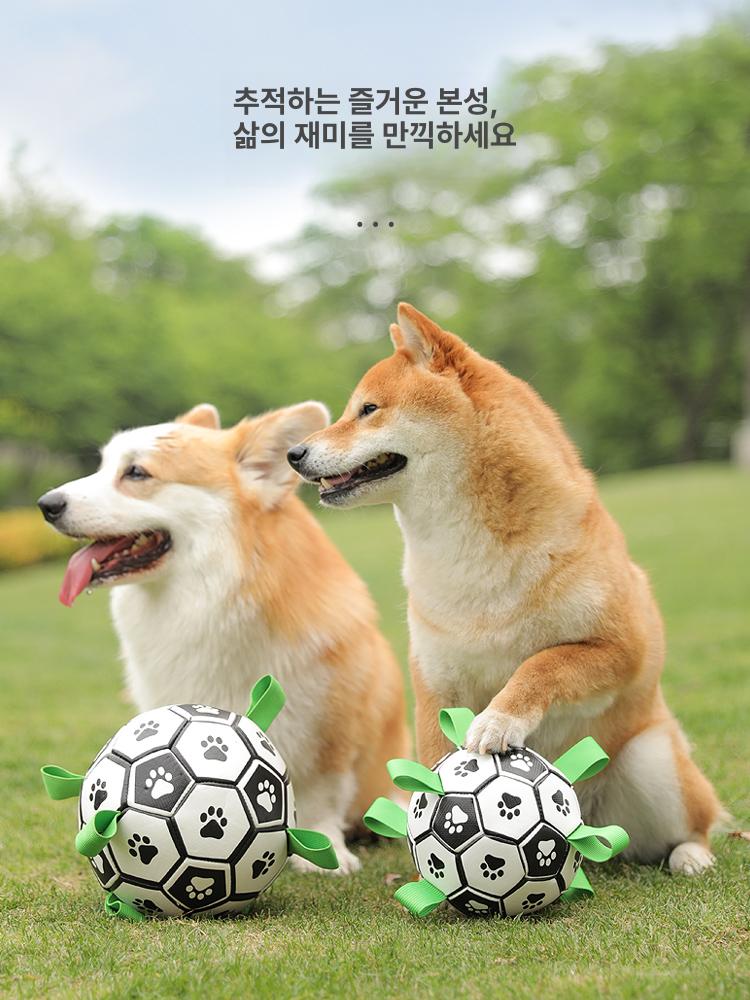 강아지 공 자가놀이 훈련용 운동볼 공놀이 축구공 삑삑이 벨소리 M 19cm 중대형견 - 상세 이미지 5