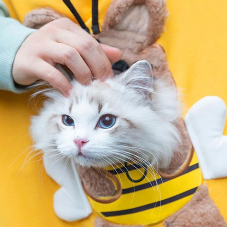 PET 고양이 산책 가방 포대기 슬링백 외출 이동장 아기띠 - 상품 이미지