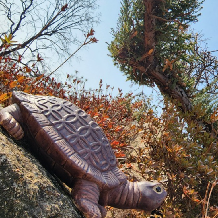 생기 도자기 재물운 돈거북 26cm 개업선물 수맥차단 무병장수 - 상품 이미지