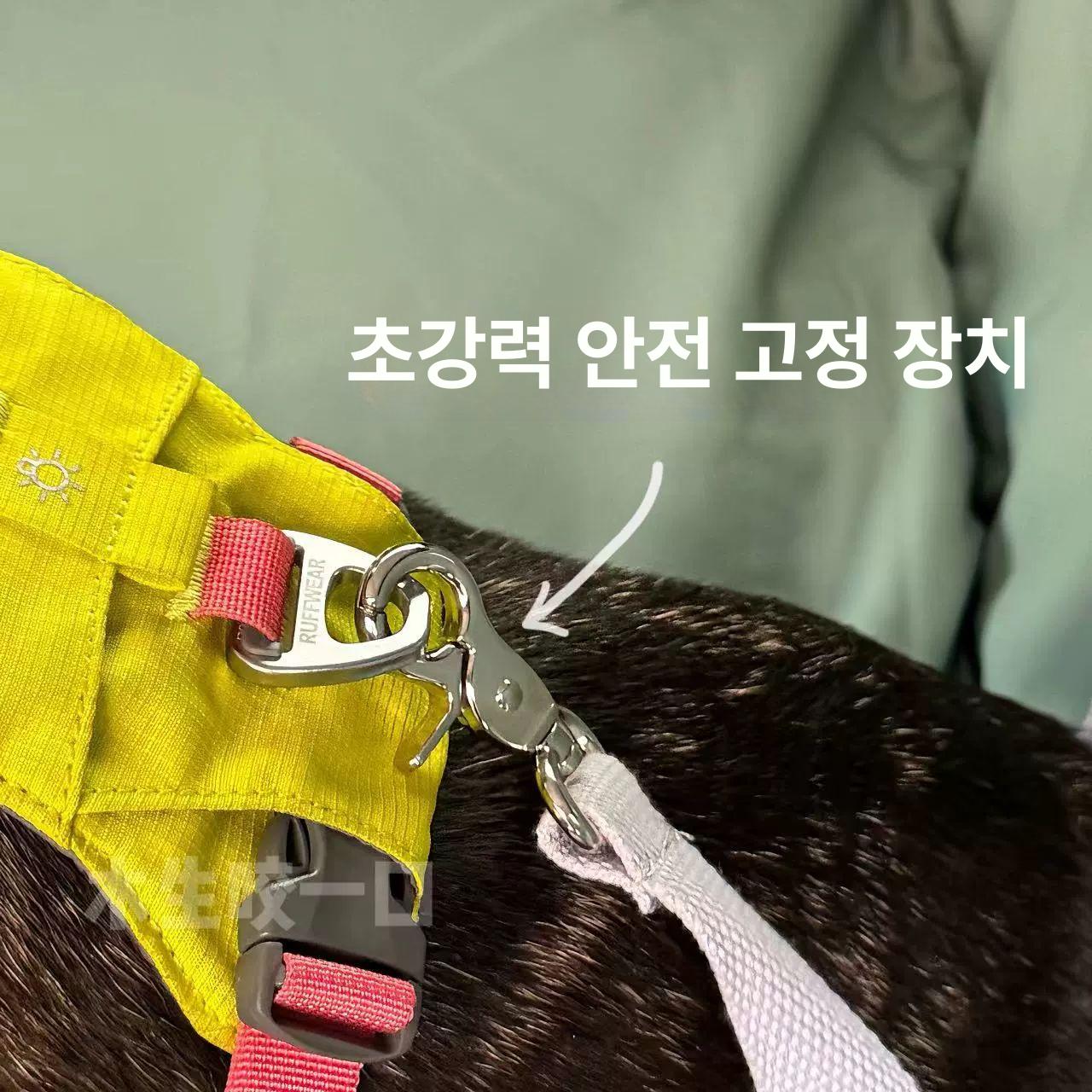중형견용 방수 세탁 가능 방석 겸용 이동가방 애견용 2인용 좌석 파인그린 - 상세 이미지 5