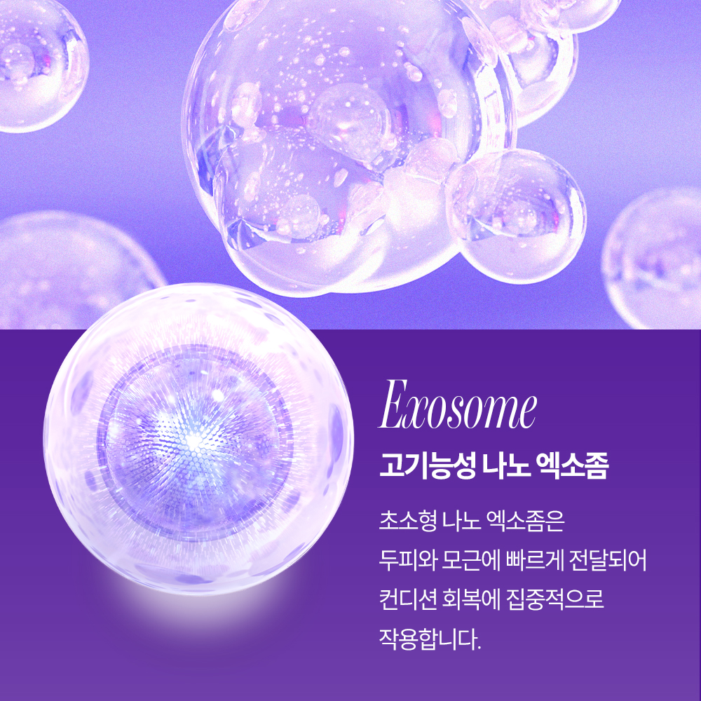먼프리 엑소좀 줄기세포 김영대 트리트먼트 손상모 미용실 린스 헤어팩 다즐링티, 519ml, 2개 - 상세 이미지 3