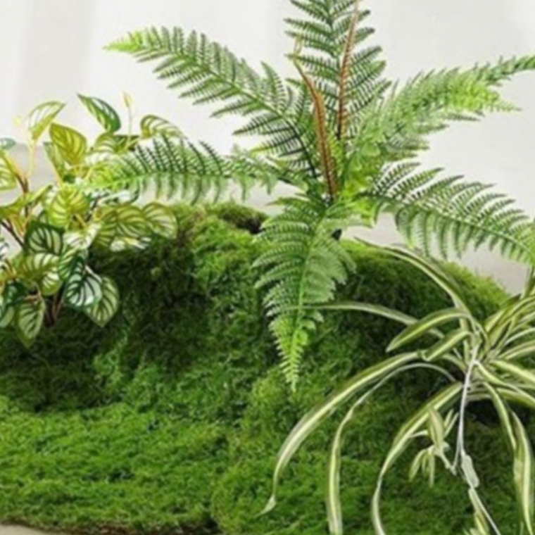 인조이끼 데코 조경 1m x 1m 잔디 매트 식물 DIY 인테리어 화분 - 상품 이미지