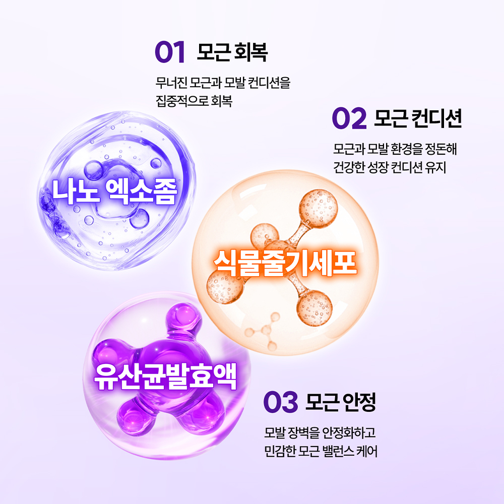 먼프리 엑소좀 줄기세포 김영대 트리트먼트 손상모 미용실 린스 헤어팩 다즐링티, 519ml, 2개 - 상세 이미지 2