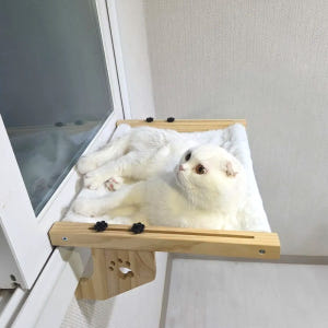 하루굿즈 고양이해먹 창문캣타워 고양이 창틀 창문 거치식 해먹 솔직 후기 | 실제 사용자 리뷰 총정리 - 상품 이미지 4
