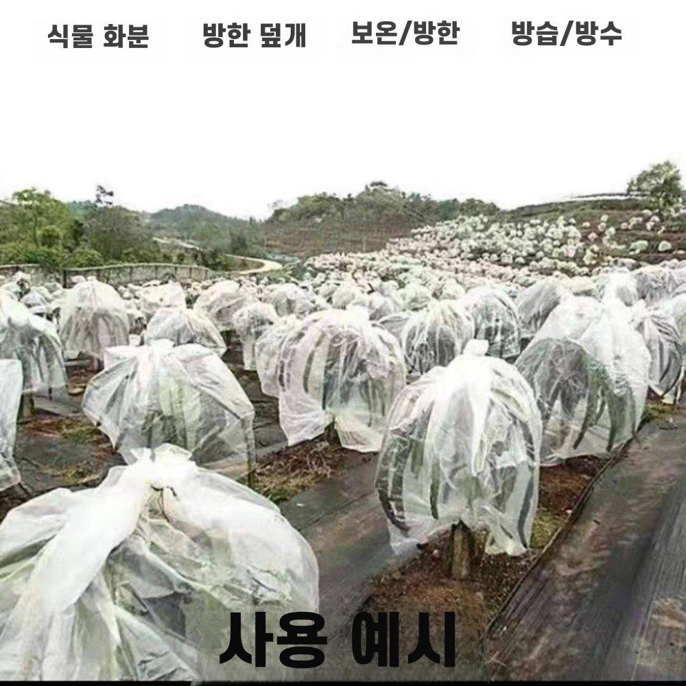농업용 투명 필름 고투광 온실 포장 보호용 롤 투명 10필라멘트 100미터 롤 11m - 상세 이미지 3