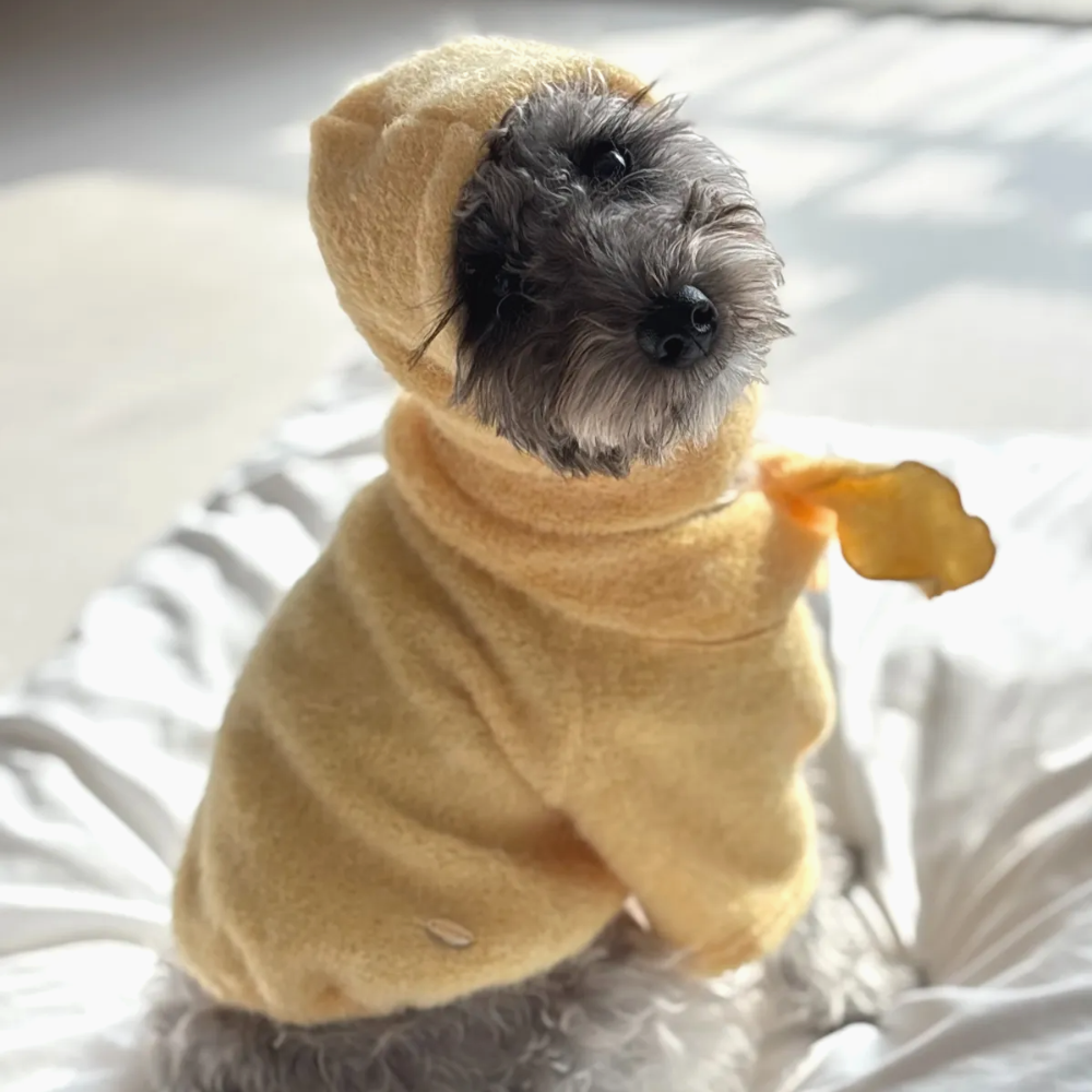 뚜담펫 강아지 고양이 겨울 울 리본 니트 강아지 선물 - 상품 이미지