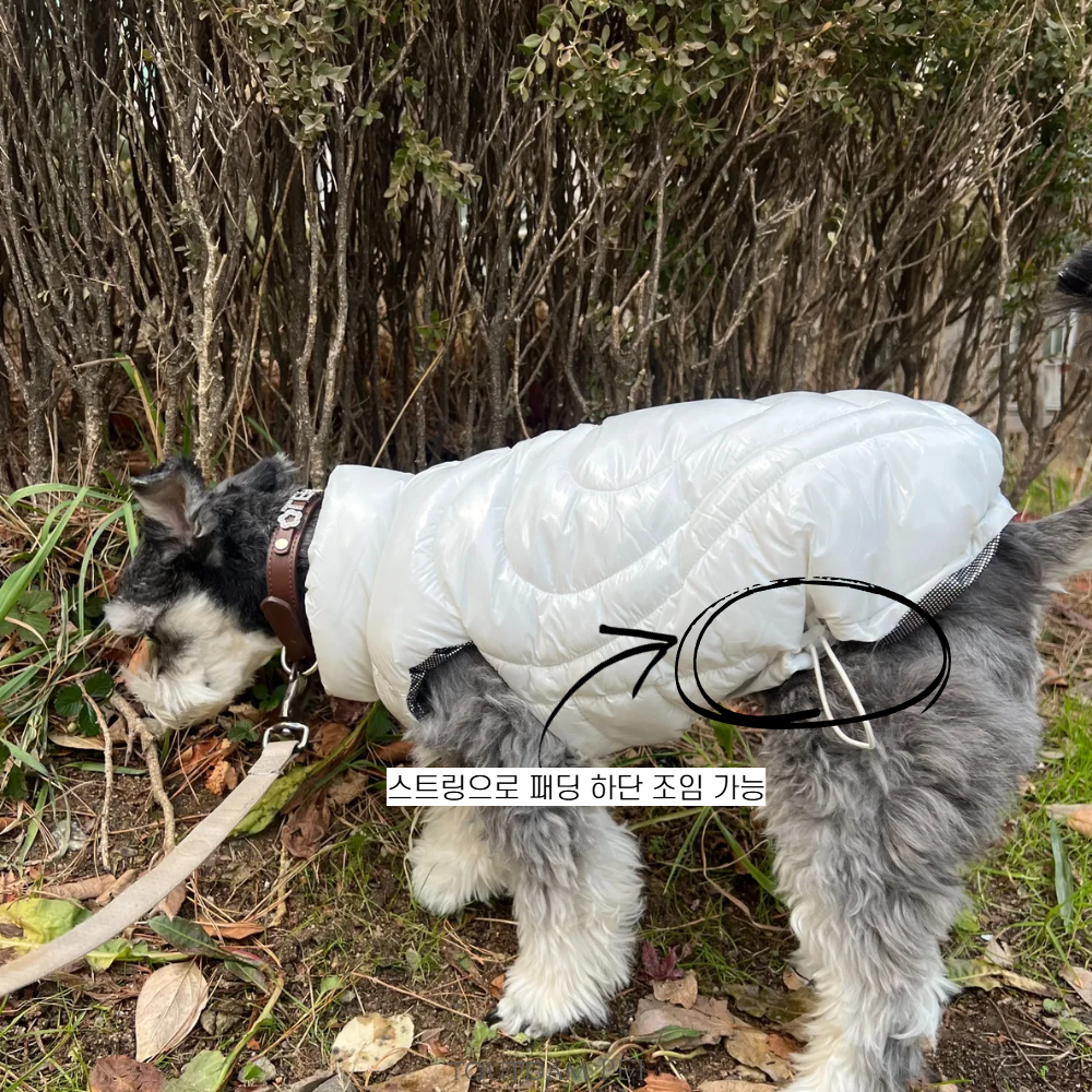 뚜담펫 견주 강아지 커플패딩 강아지 고양이 발열패딩