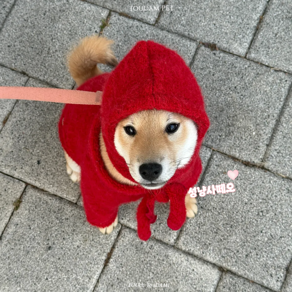 뚜담펫 강아지바라클라바 고양이 겨울모자 니트 망토 바라클라바 - 상세 이미지 3