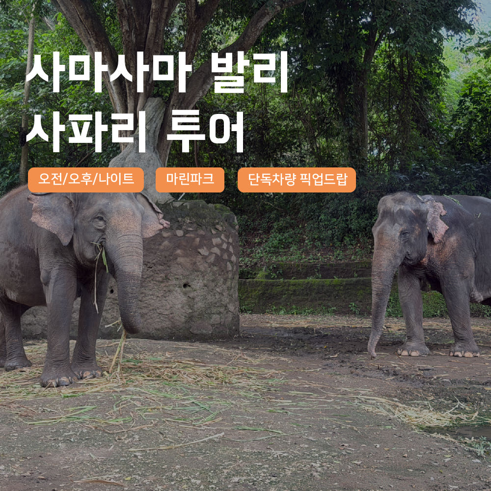 사마사마 발리 발리 사파리 & 마린파크 입장권 택시투어 나이트 사파리 프라이빗 차량