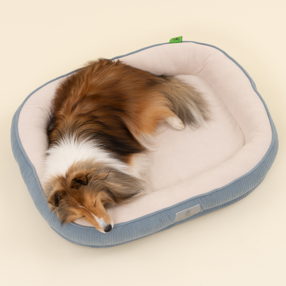 펫앤마마 강아지 방석 슬개골 보호 폼 애견 쿠션 분리세탁 미끄럼방지 침대 New02 L