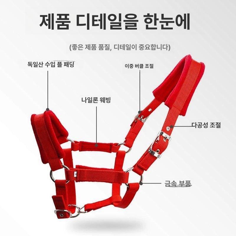 말 고삐 마방 마구간 굴레 견마끈 컬러 로프 조련 끈 당김 훈련 리드끈 레이싱 - 상세 이미지 5