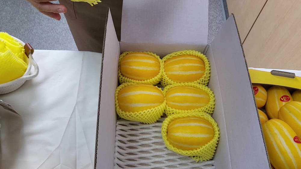성주참외 선물용 10kg
