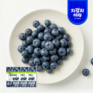 A급 고당도 블루베리 미국캐나다산 세척 프리미엄 1kg, 3개 맛있게 먹은 솔직 후기 - 상품 이미지 1