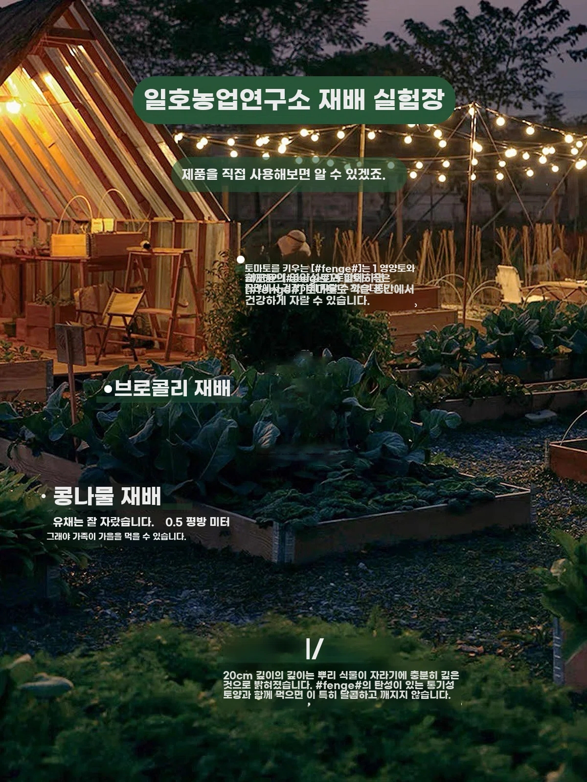 옥상 나무상자 꽃 H. 길이 100너비 80높이 23cm 방지 Citiwood, A. 나무 - 상세 이미지 2