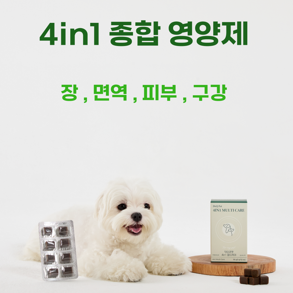 닥터큐펫 강아지 종합 영양제 유산균 장 면역력 피부 구강 멀티 케어 32정, 3개 - 상세 이미지 4