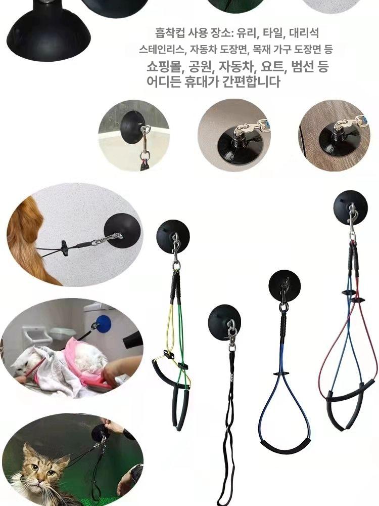 애견 고무 목욕줄 흡착캡 암줄 고양이 고정 미용 A 소형 흡착판 + 50cm 버클 행잉 로프 - 상세 이미지 3