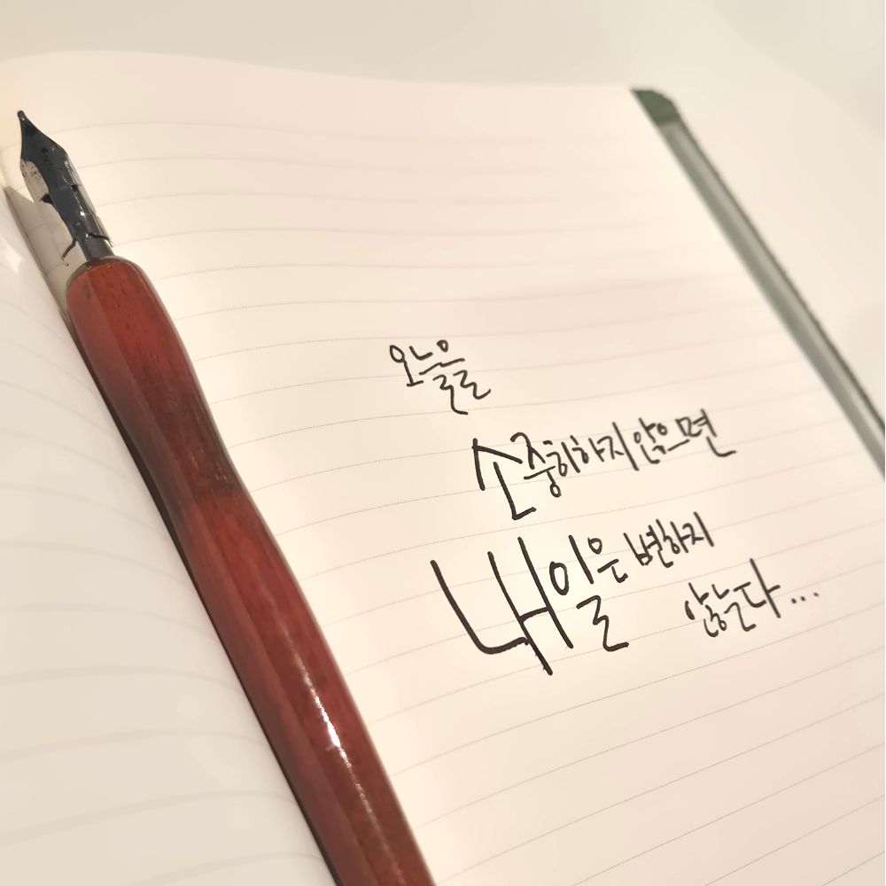 캘리그라피 입문 닙 딥펜 펜촉 9종세트 - 상세 이미지 2