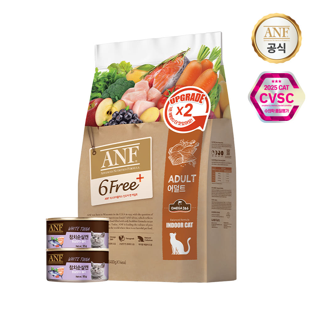 사료 급여 팁 이미지 2