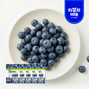 A급 고당도 블루베리 미국캐나다산 세척 프리미엄 1kg, 5개 맛있게 먹은 솔직 후기 - 상품 이미지 1