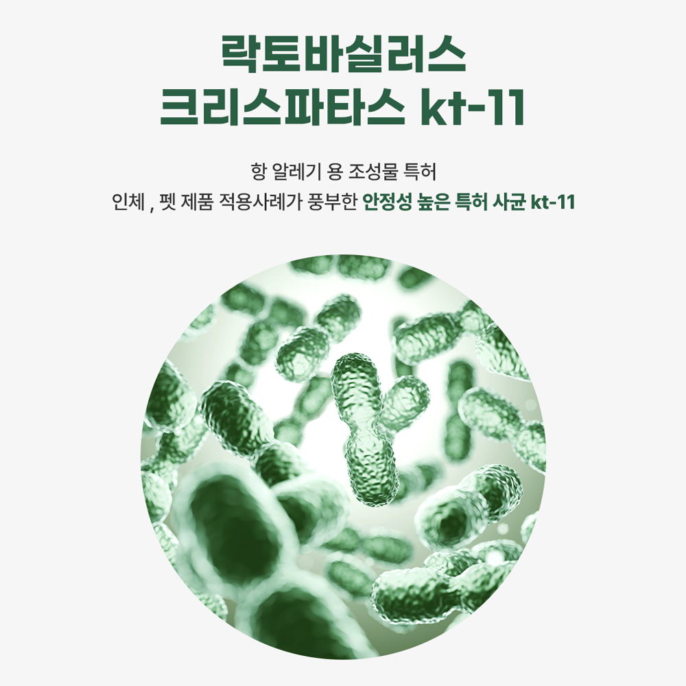 닥터큐펫 강아지 종합 영양제 유산균 장 면역력 피부 구강 멀티 케어 32정, 3개 이미지 6