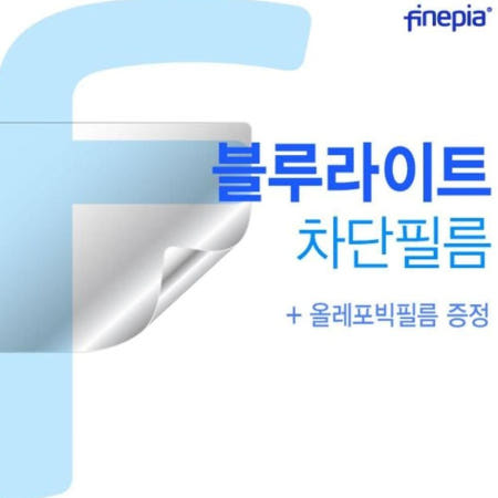 카라스인터내셔널 2021 그램17 Bluelight 그램17 Cut필름 17Z90P-GA50K