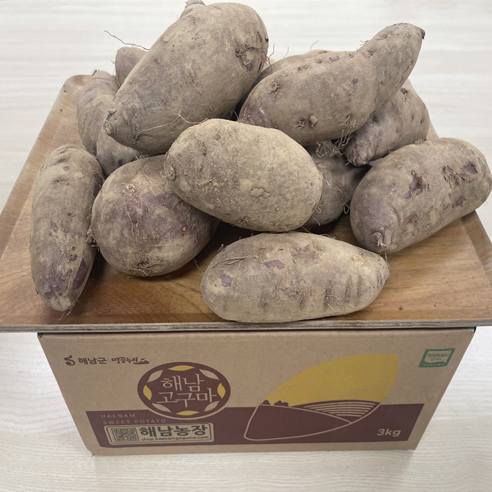 해남 고구마 호박 꿀고구마 자색 호풍미 베니하루카 2kg 3kg 5kg - 상세 이미지 2