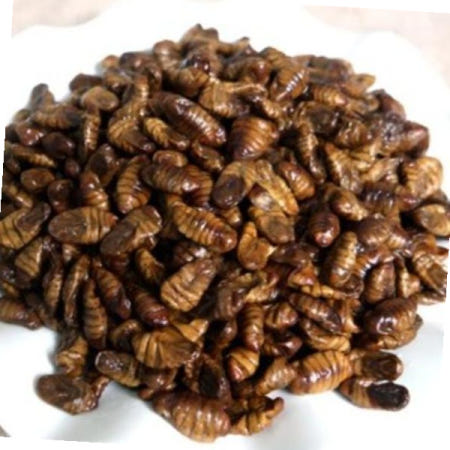 번데기통조림 냉동 번데기 무염 무첨가 고단백 대용량 4kg