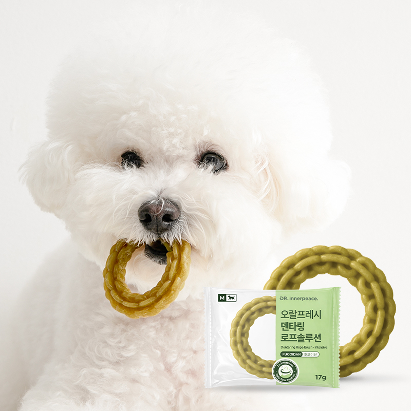 개껌 강아지껌 치석제거껌 강아지덴탈껌 양치 7개입 이미지 2