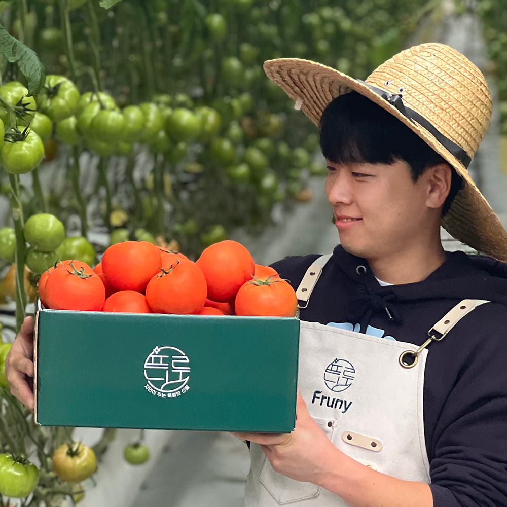 완숙 토마토 2kg 5kg 산지직영 유럽종 로얄과 특상품 : 프루니 Fruny