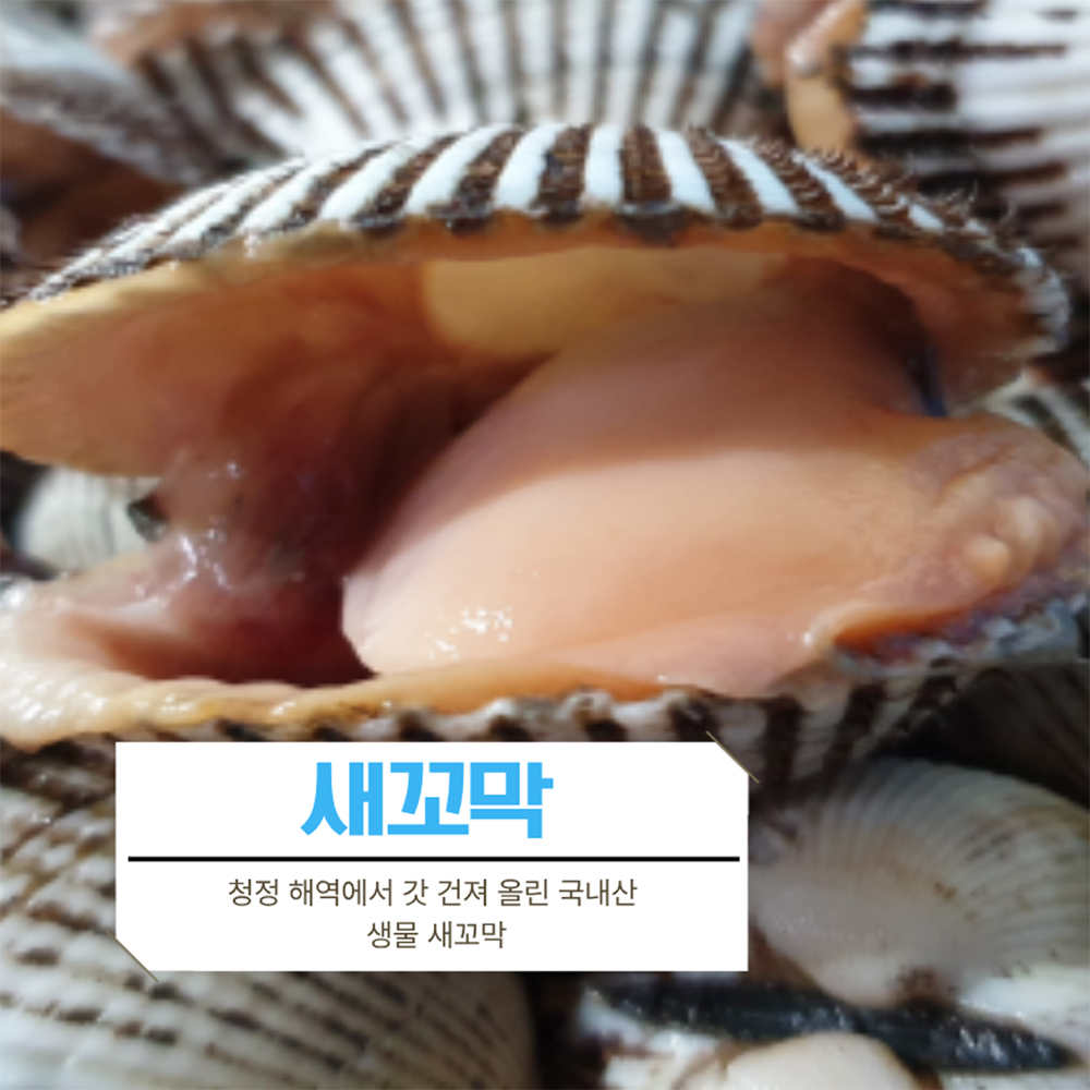 당일조업 국내산새꼬막 3kg 270미 내외 - 상품 이미지