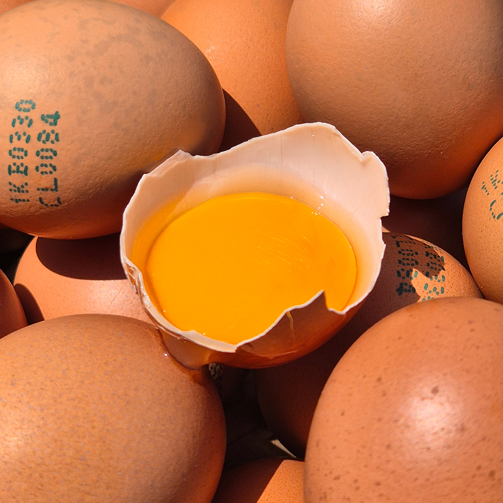 HACCP 특란 30구 60구 안심포장 파손보장 계란 안전배송 - 상세 이미지 2