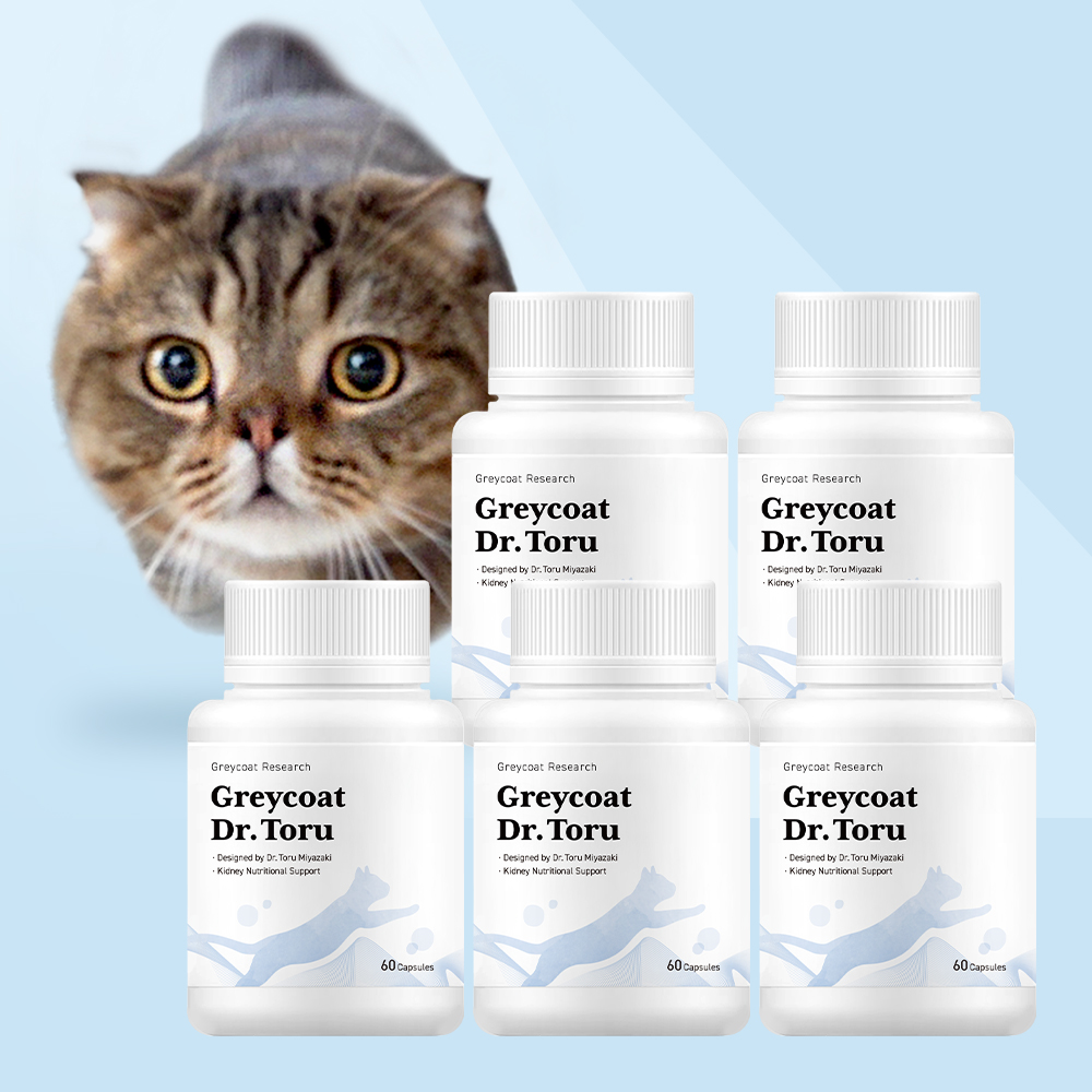 야옹섬 고양이 영양제 신장 AIM 닥터토루 신부전 미야자키 토루 2개월 60캡슐, 5개 제품 이미지