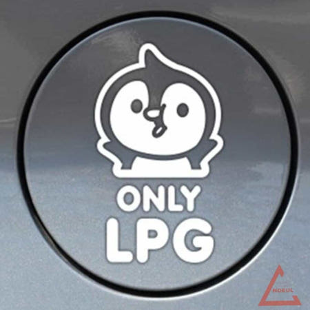 별추샤인 팽글이 only LPG 자동차 주유구스티커 화이트 자동차시트지
