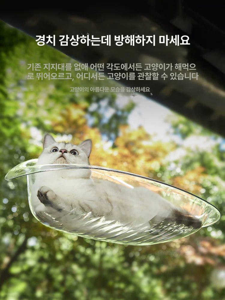 고양이 차량용 애완용 창문 흡착 빨판 투명 흡착식 시트 크리스탈 투명 - 상세 이미지 3