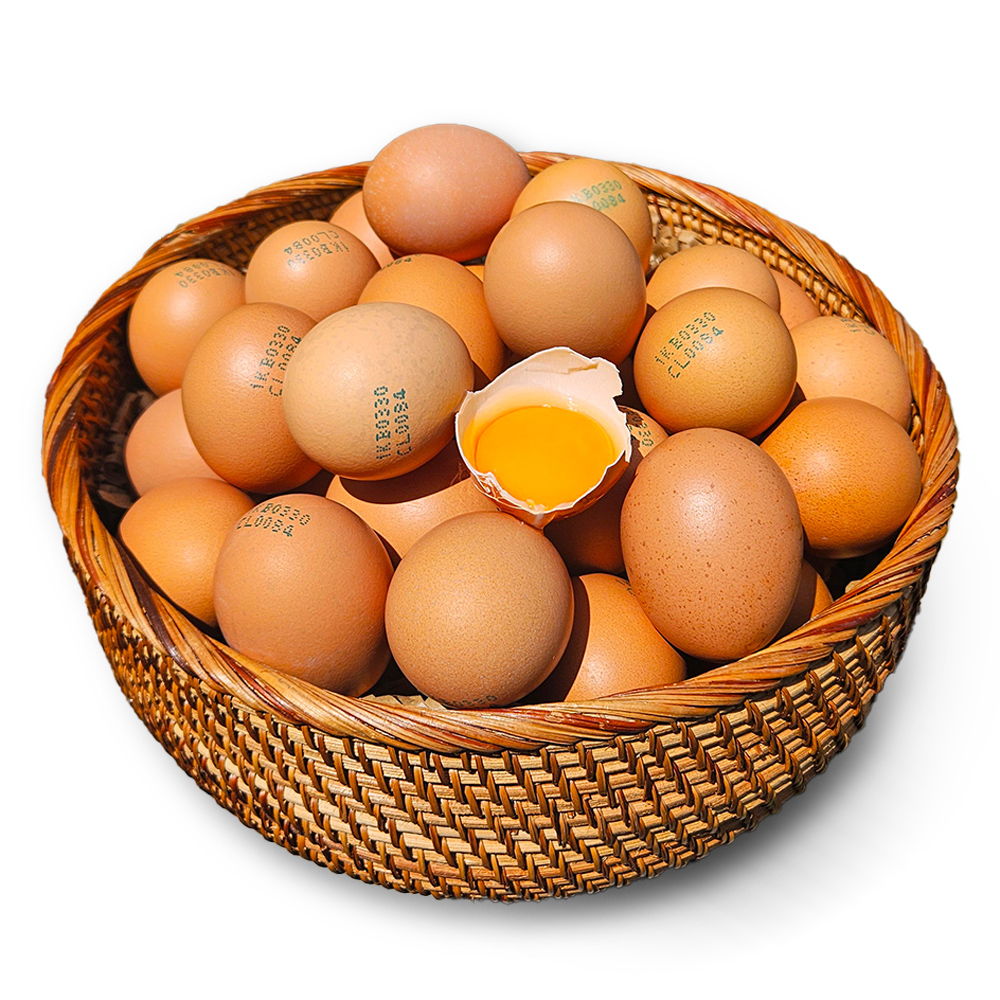 HACCP 특란 30구 60구 안심포장 파손보장 계란 안전배송 - 상세 이미지 3