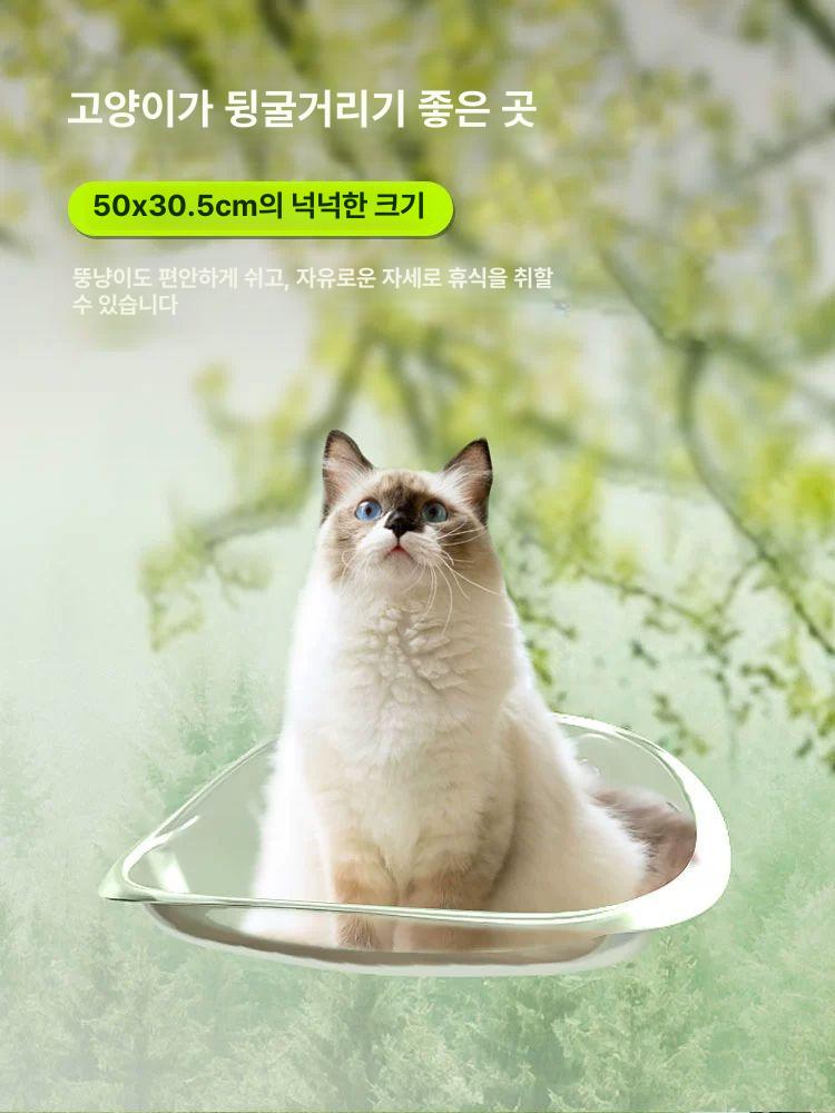 고양이 차량용 애완용 창문 흡착 빨판 투명 흡착식 시트 크리스탈 투명 - 상세 이미지 4