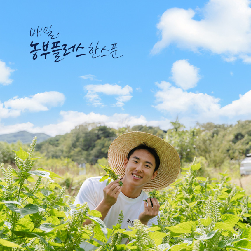 국산참기름 저온압착 180ml 농부플러스 사진 2