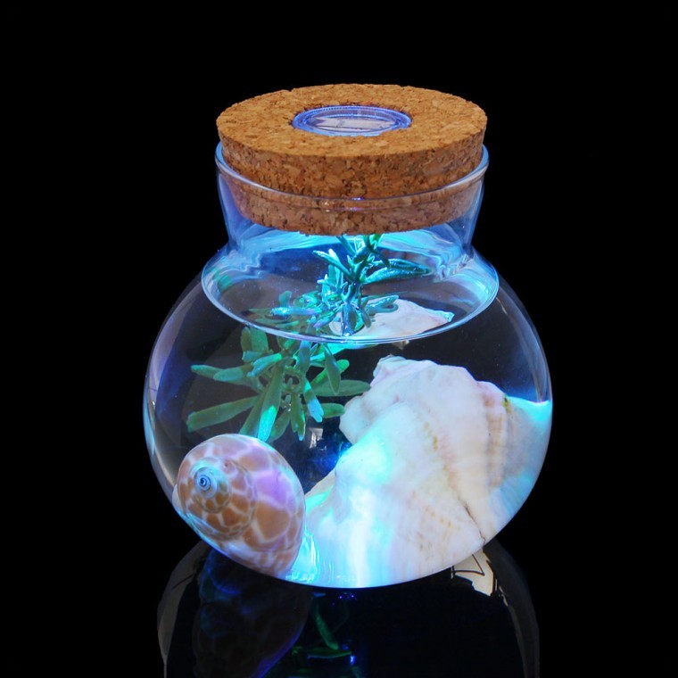 도모아 마리모 키우기 LED 코르크 유리병(10x11cm)/수초 화분 무드등