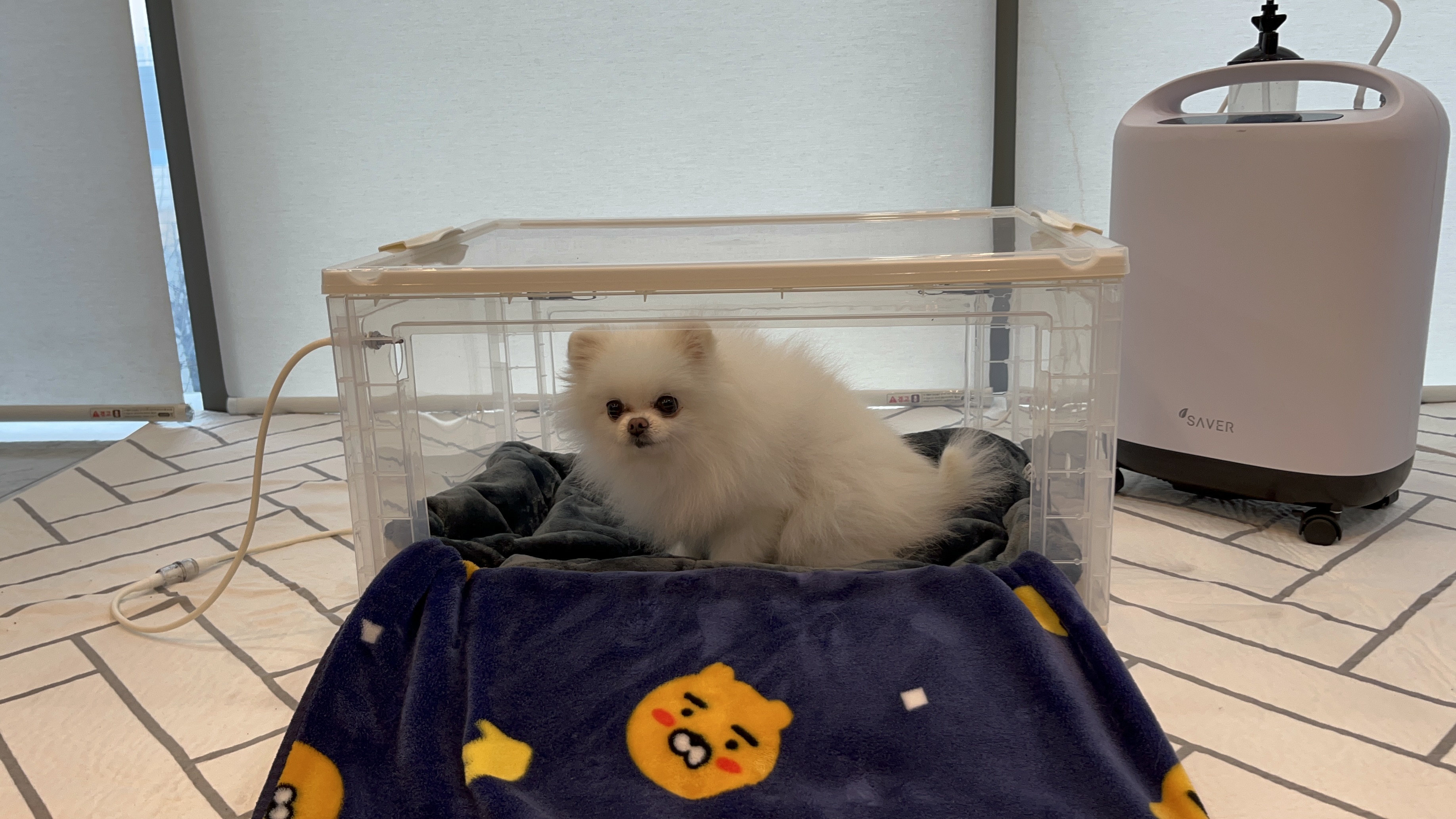 [세이버]강아지 산소발생기 93% 3L 고양이 가정용 렌탈가능(런칭이벤트 산소방 제공) - 상세 이미지 3