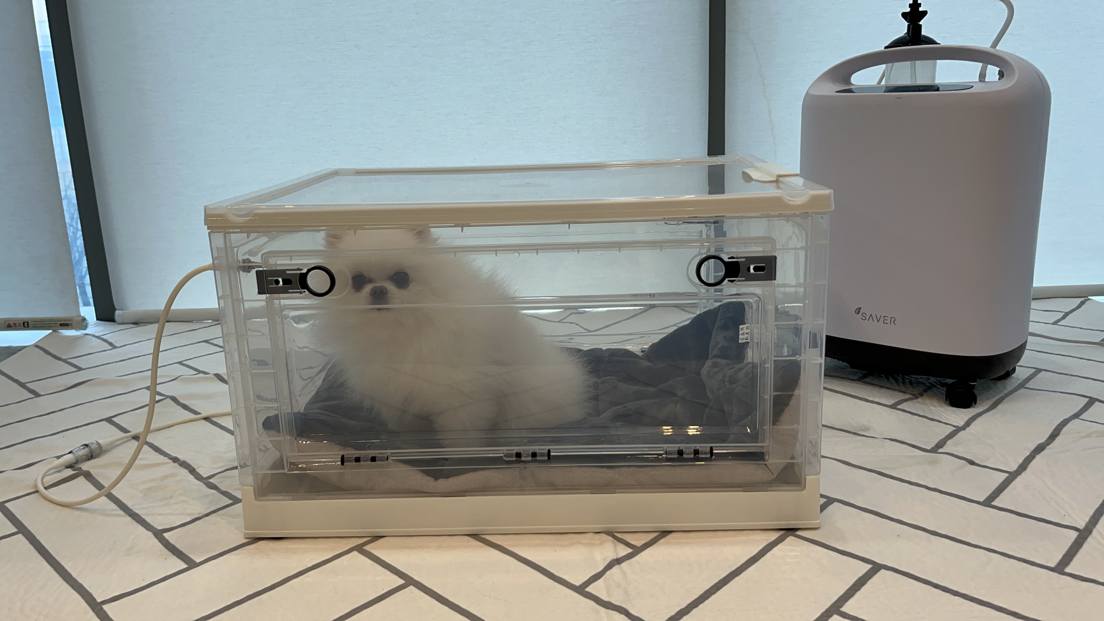 [세이버]강아지 산소발생기 93% 3L 고양이 가정용 렌탈가능(런칭이벤트 산소방 제공) - 상세 이미지 4
