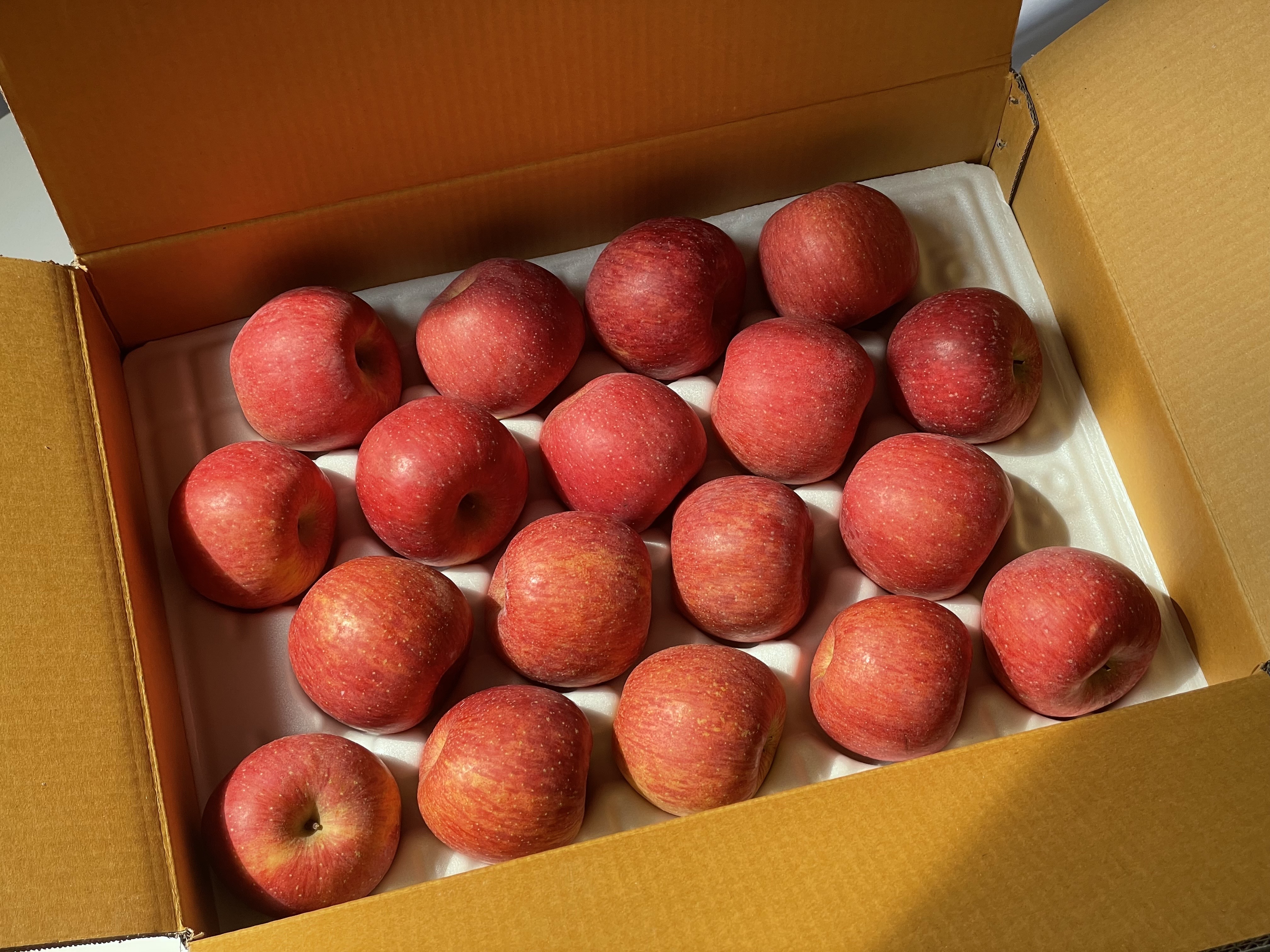 맛있는 꿀부사 사과 소과, 2kg, 1개 - 상세 이미지 4