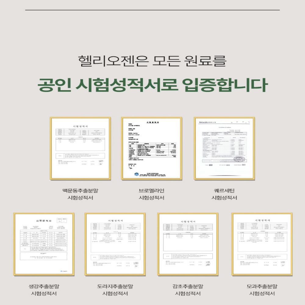삼백초 건강 보조제 삼백초 추출물 건강 보조제 추천 건강 보조제 선택법