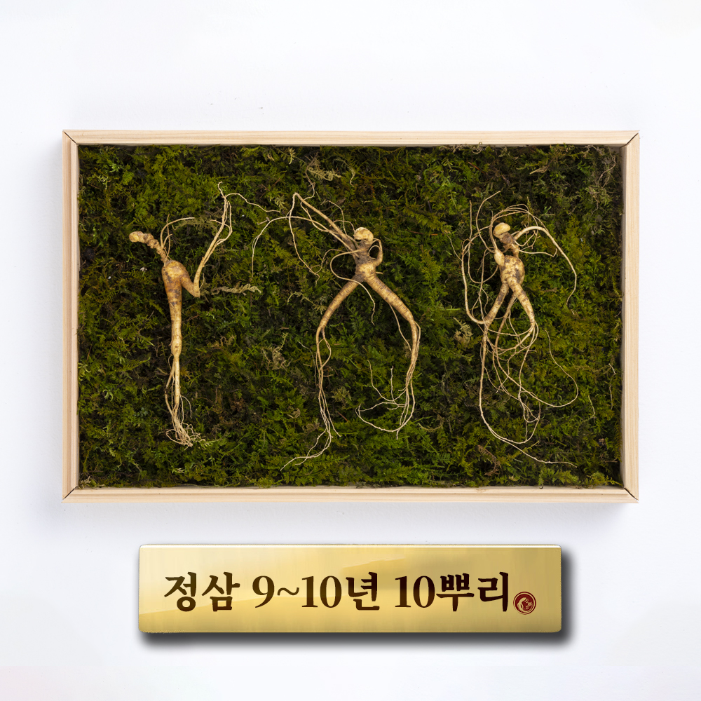 (정삼)9-10년근 10뿌리 - 상품 이미지