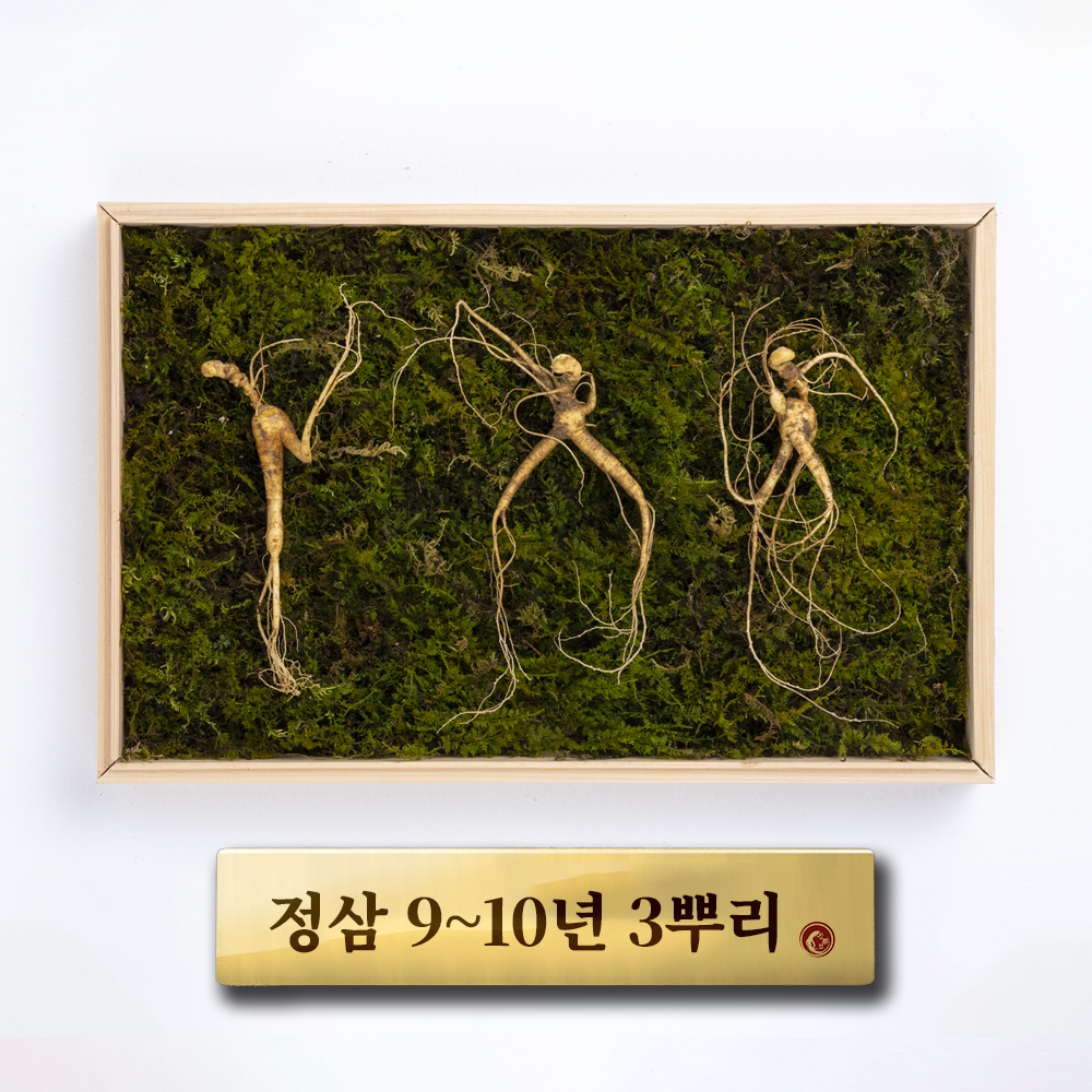(정삼)9-10년근 3뿌리 - 상품 이미지