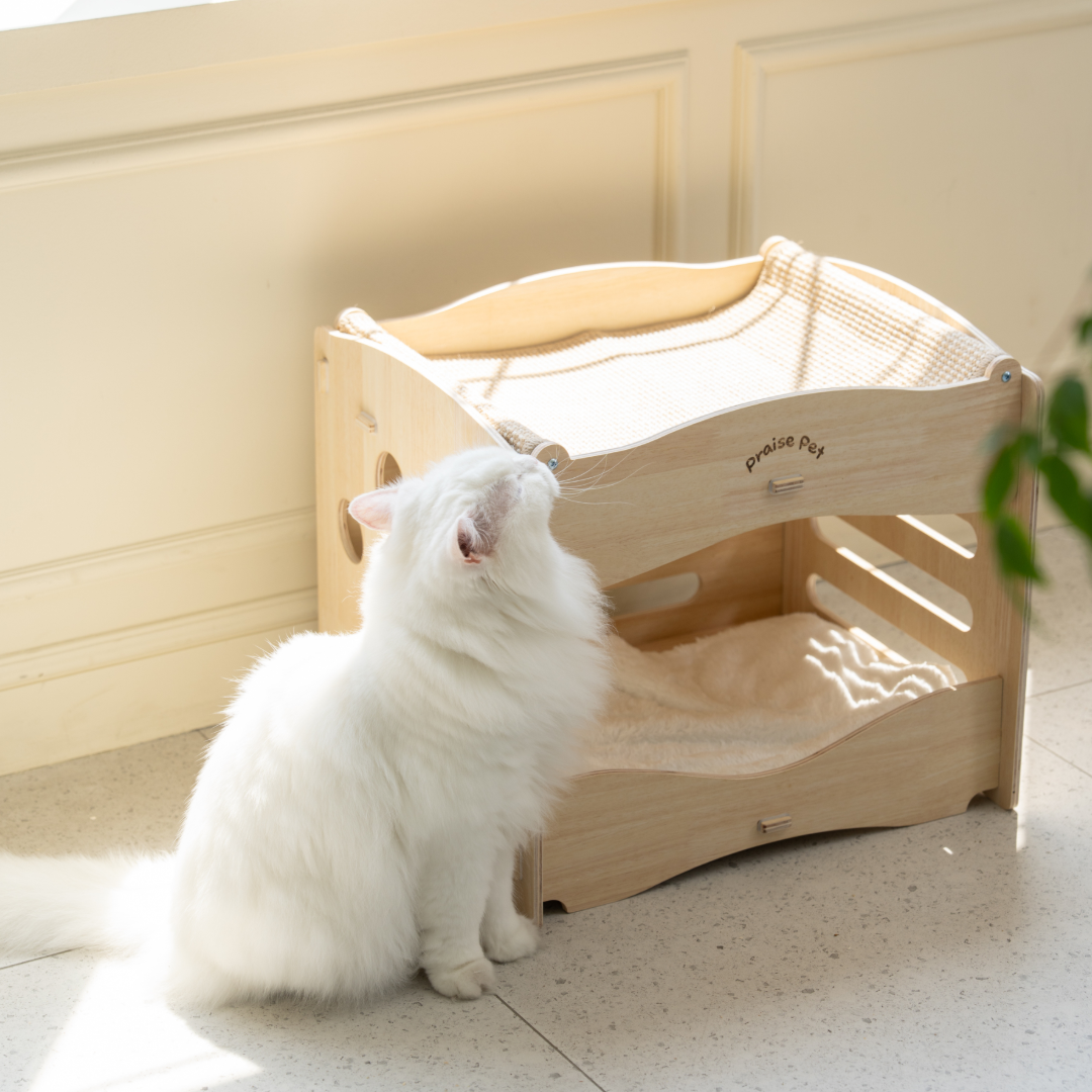 [리뉴얼]프레이즈펫 프리미엄 2층침대 스크래쳐 - 고양이 대형 숨숨집 하우스 리필 교체가능 이미지 4