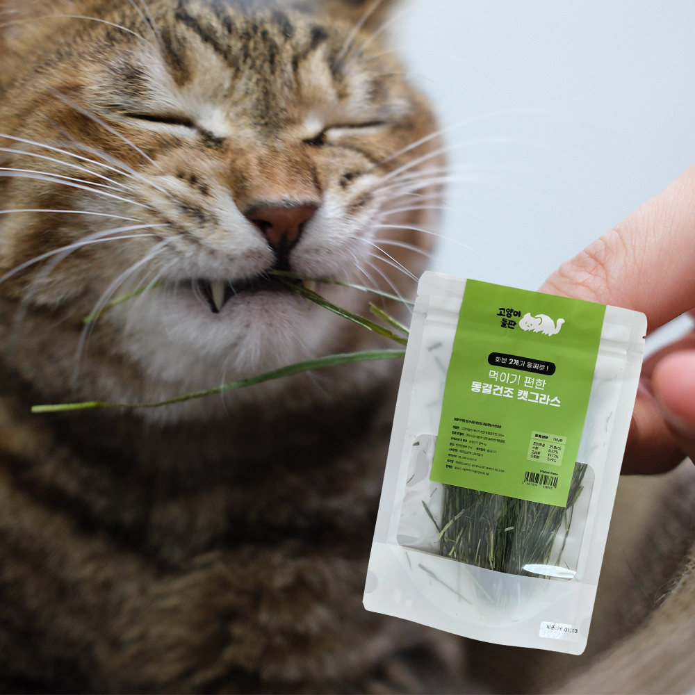 동결건조 캣그라스 - 화분 2개 분량이 하나로! 고양이 무농약 4g 이미지 2
