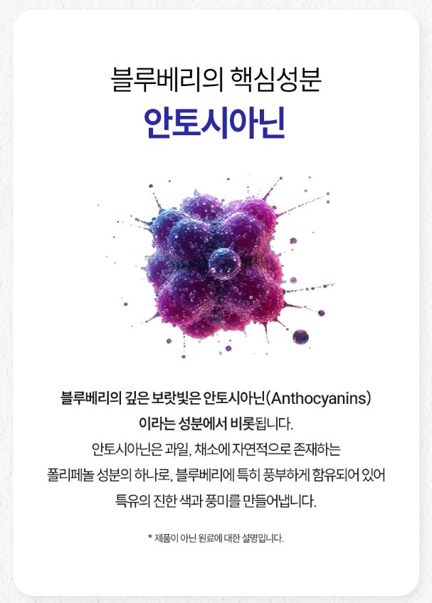 뉴일리 그레이트 유기농 블루베리 퓨레 100 블루베리즙 진액 스틱 14포, 5개 이미지 6