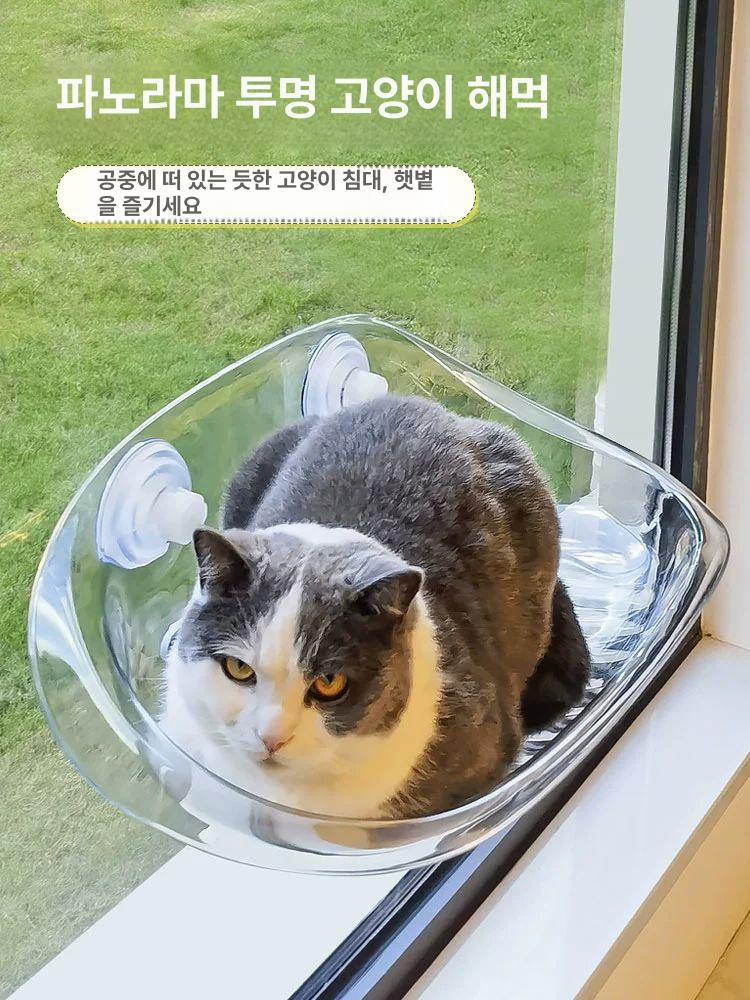 고양이 차량용 애완용 창문 흡착 빨판 투명 흡착식 시트 크리스탈 투명 - 상세 이미지 2