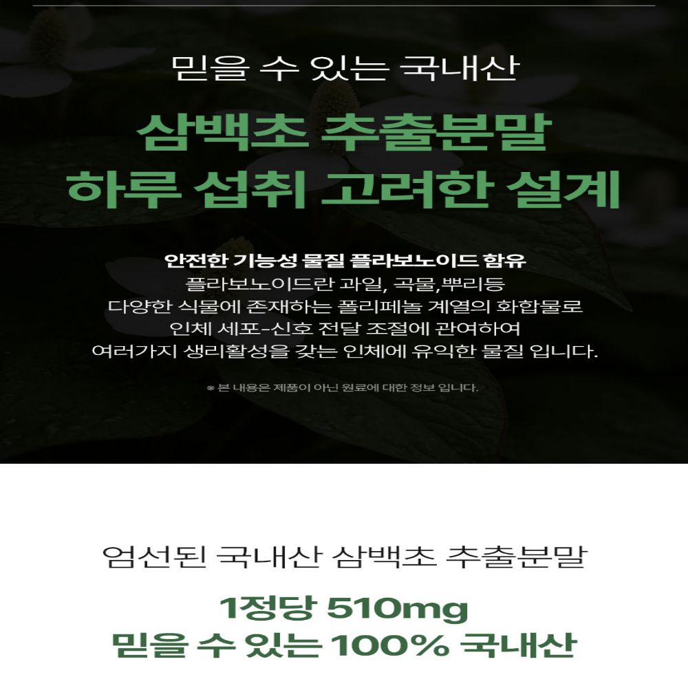 삼백초 건강 보조제 삼백초 추출물 건강 보조제 추천 건강 보조제 선택법