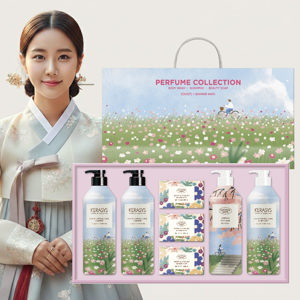 애경 생활용품 선물세트 추석 명절 생필품 샴푸 선물 세트 쇼핑백포함 다정 - 상품 이미지